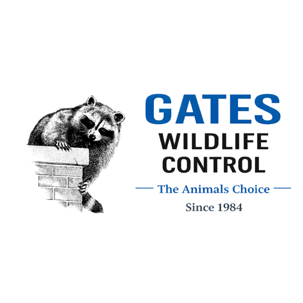 Gates Wildlife Control